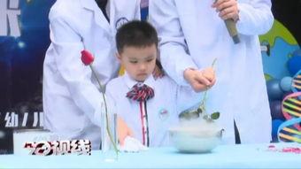 莆田小孩爆料视频大全,揭秘童言无忌中的真实世界  第3张